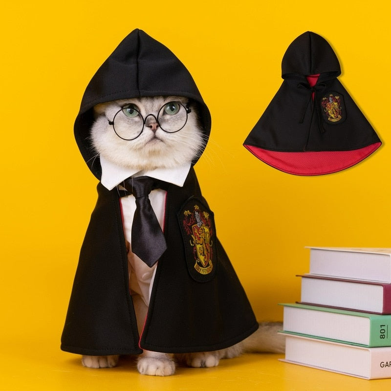 Halloween clothing for pets